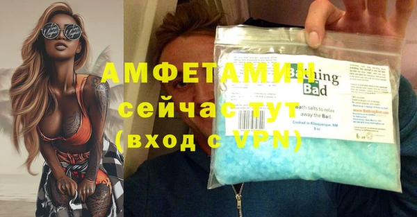 спиды Белокуриха