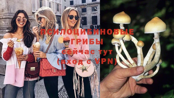 спиды Белокуриха